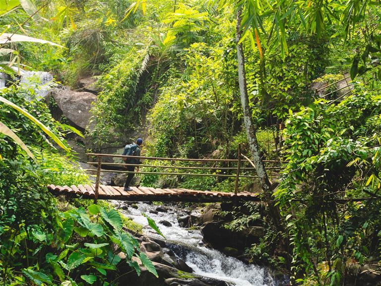 Tempelgold und Dschungelgrün: Magie des Nordens ©TongTa/adobestock